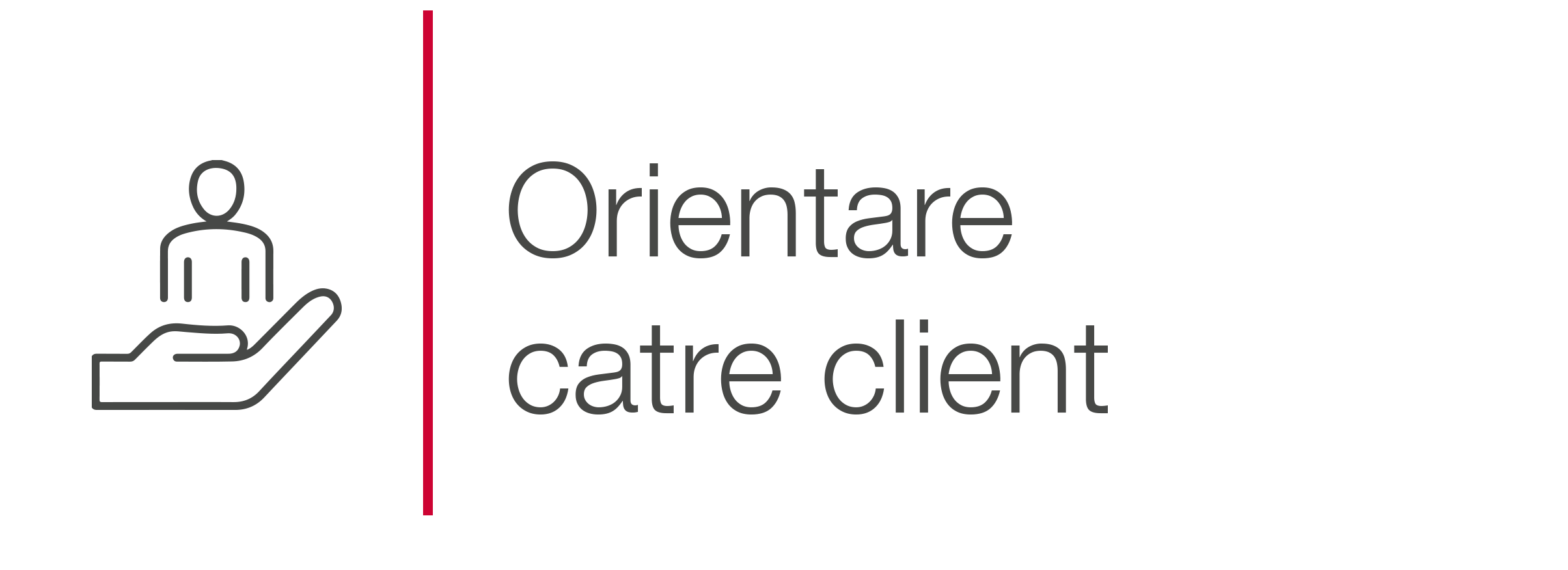 Orientare-catre-client.png